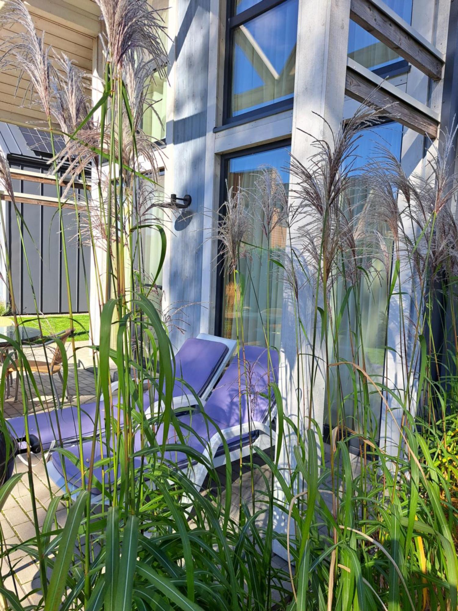 6_Banga Villa Palanga Exterior photo